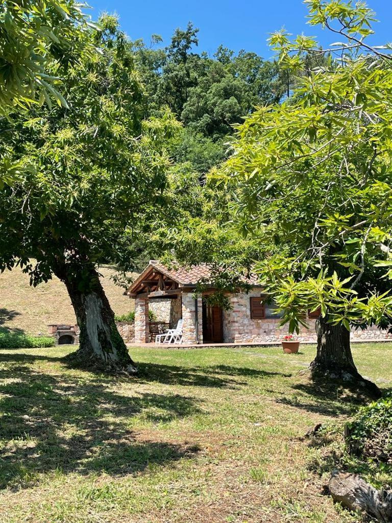 Casa Nel Bosco Villa Сасета Екстериор снимка